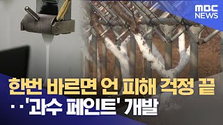 "한번 바르면 언 피해 걱정 끝"‥ '과수 페인트' 개발 (2026.01.09/뉴스데스크/전주MBC)