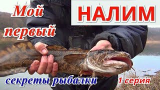 Ссылка