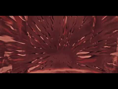 JUPYTER$ TYRADE - Car Fireas