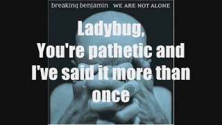 Breaking Benjamin- Ladybug
