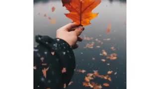 Download lagu Ruang Detik||Ana Uhibbuka Fillah||Story WA mp3 Download lagu Ruang Detik||Ana Uhibbuka Fillah||Story WA mp3