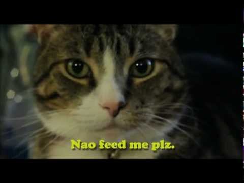 Cooking With Gerard - Green Cheezburger