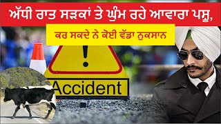 ਅੱਧੀ ਰਾਤ ਸੜਕਾਂ ਤੇ ਘੁੰਮ ਰਹੇ ਆਵਾਰਾ ਪਸ਼ੂ, ਕਰ ਸਕਦੇ ਨੇ ਕੋਈ ਵੱਡਾ ਨੁਕਸਾਨ