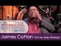 James Cotton - "Got My Mojo Working" (XPoNential Music Festival 2014)