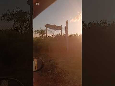 Paseo por la capital del cabrito 🐐 - Quilino, Córdoba 🇦🇷