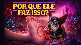 SEU CACHORRO FAZ ISSO? 😱 DESCUBRA O PORQUÊ!