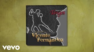 Vicente Fernández - Cristal (Cover Audio)