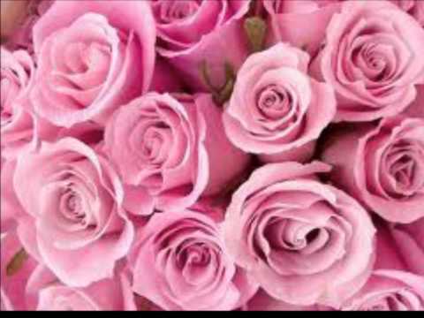 Ultimate Kaos - Casanova lyrics