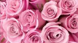 Ultimate Kaos - Casanova lyrics