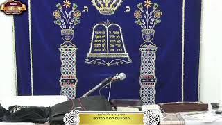 בית המדרש "תורת דוד" ¤ שידור חי ¤ ו' אב תשפ"ה (31.7.2025) (מוסדות תורת דוד) - התמונה מוצגת ישירות מתוך אתר האינטרנט יוטיוב. זכויות היוצרים בתמונה שייכות ליוצרה. קישור קרדיט למקור התוכן נמצא בתוך דף הסרטון