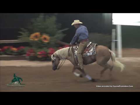 CHEXOLUTION ridden by TODD SOMMERS - 2013 Heritage Futurity(Open Futurity)