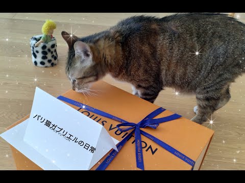 フランスといえばルイヴィトン。でもちょっと窮屈そう・・・