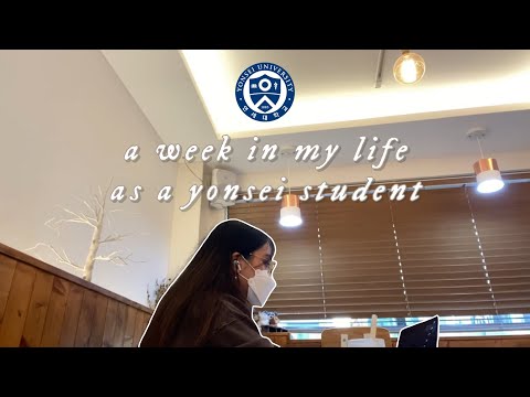 yonsei university vlog 🦅 akaraka festival, study abroad diaries and quiet days