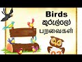 Birds Name English Sinhala Tamil Unit 02