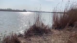 Рыбалка краснодар сброс как проехать
