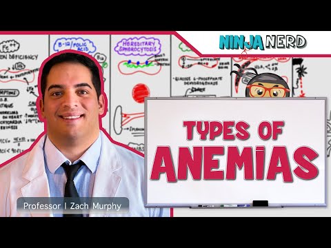 Hematology | Types of Anemias