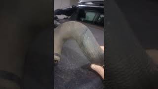 p0403 explicação detalhada