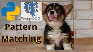 HOW TUTORIAL POSTGRESQL (psql) PYTHON  | PATTERN MATCHING | psycopg2 |  TIPS