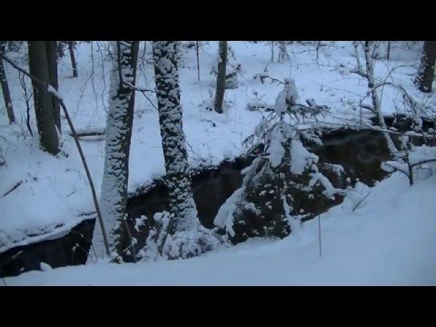 Rezerwat Szum - Górecko Kościelne