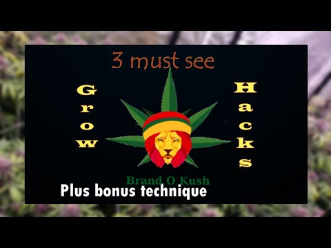 Three Must See Indoor Grow Hacks