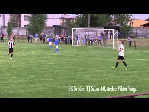 ŠK Svodín - TJ Salka 5:0