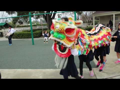 Lunar New Year Parade