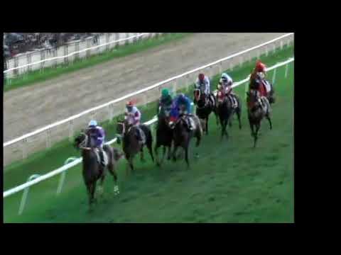BTC: 2018 Sandy Lane Gold Cup - Race 9