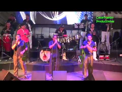 Orquesta Salsara - Fria Como El Viento