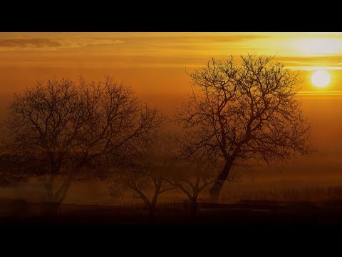 Johannes Ockeghem - Ockeghem: Salve Regina