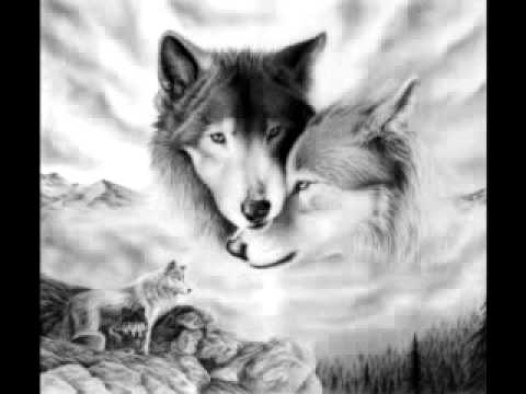 Divlji Andjeli - Voli te tvoja zver