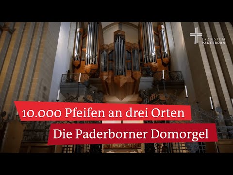 Domorgel im Paderborner Dom: Blick hinter die Kulissen der drittgrößten Orgel Deutschlands