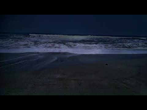 beautiful madhav pur beach 😍