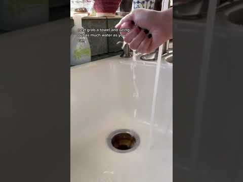 growing a mango seed in water #plants #mangotree #howto