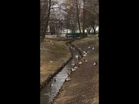 warszawa  chomiczówka