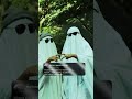 Tum Ankhon Se Batana Ham Samajh Jaayenge Aesthetic Faketweet Reels Shorts Lofi Love Viral