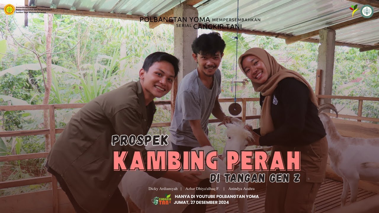 Cangkir Tani Eps 30: Prospek Kambing Perah di Tangan Gen Z