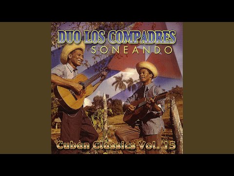 Descripción De La Rumba