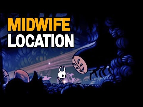 Hollow Knight- How to find Midwife and All NPC Dialogue