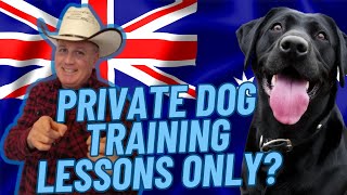 Can You Make Money Offering Only Private Dog Training Lessons?