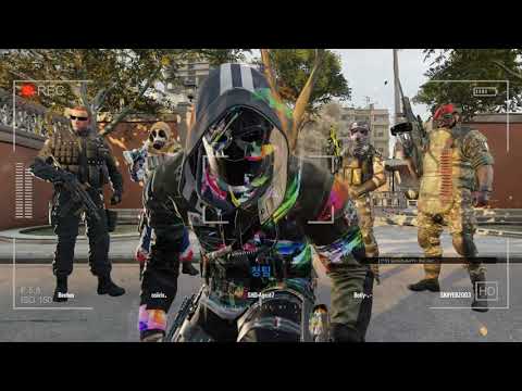 Vigil ELITE MVP ANIMATION