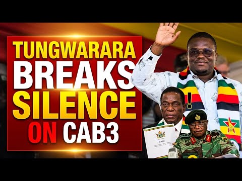 Dr Paul Tungwarara speaking during Zimbabwe’s constitutional amendment campaign