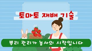이런 뿌리는 정말 토양 관리가 중요합니다