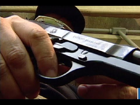 Porte de armas volta a ser debatido no Congresso