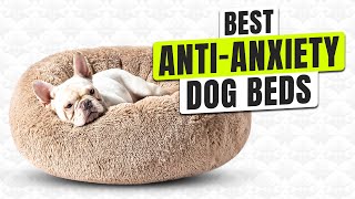 3 BEST Anti-Anxiety Dog Beds - Don’t Let Stress Steal Their Sleep!