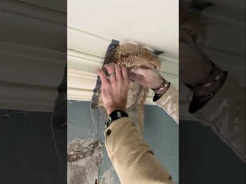 In-situ squeeze #plastering #heritage #traditional #cornice #mouldings