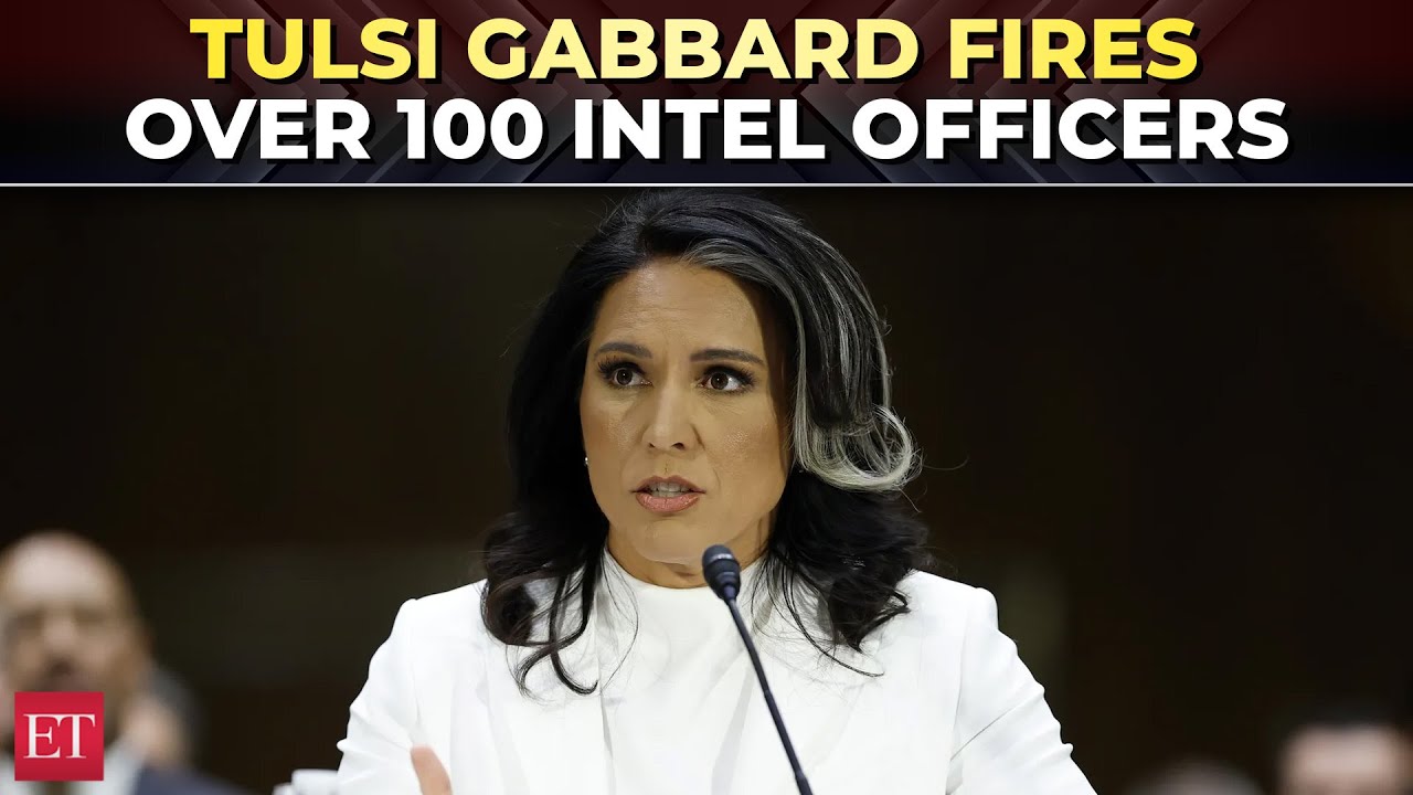 'Really horrific behaviour…’: Tulsi Gabbard fires 100+ intel officers over NSA sex chatroom scandal