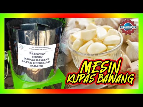Farmasi afrodisiak M16 berarti untuk potensi buy di Chelyabinsk