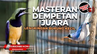 Download lagu 🔴 Cucak Cungkok Gacor vs Rambatan Paruh Merah Bren Rapet Full Tembakan Dan Lengkingan Brucil mp3 Download lagu 🔴 Cucak Cungkok Gacor vs Rambatan Paruh Merah Bren Rapet Full Tembakan Dan Lengkingan Brucil mp3
