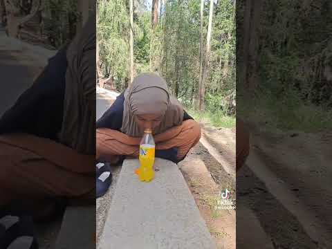 አጃኢባ#በእግሯ ብቻ ከፍታ#ሜሬዳ🚨ጠጣች#ጀግና ብየሽ አለው🔴እህት አለም#አበረታቷት#የሴቶች ተምሳሌ#ሰብስክራይብ_ያድርጉ🔔