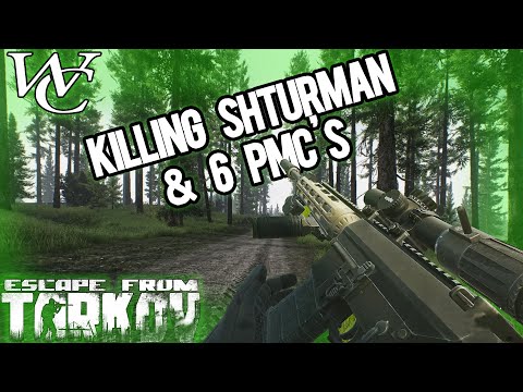Killing Shturman and 6 PMCS on WOODS - Escape from Tarkov
